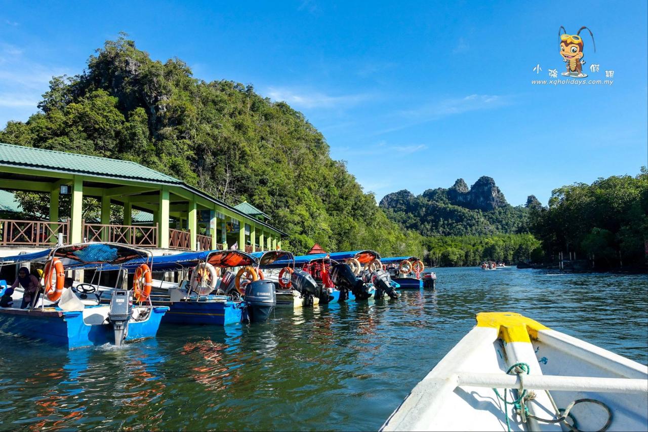 Jelajahi Pesona Mangrove Tour Langkawi, Surga Ekologi di Malaysia